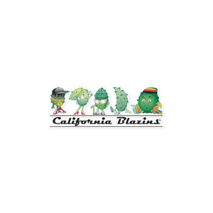 California Blazins' Posse Bubble-free stickers