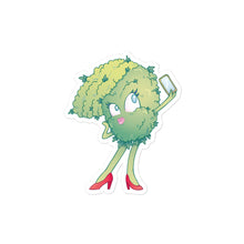 California Blazins' Diva Bubble-free stickers
