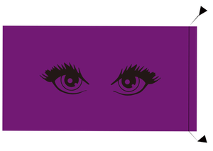 Lashes Pouch